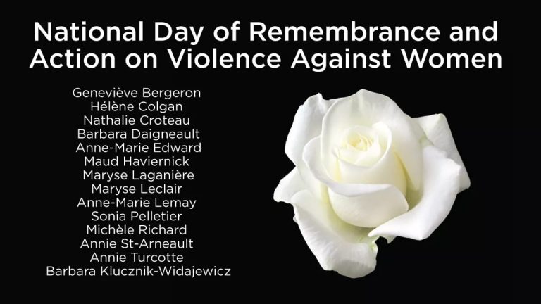 The National Day of Remembrance and Action on Violence against Women
